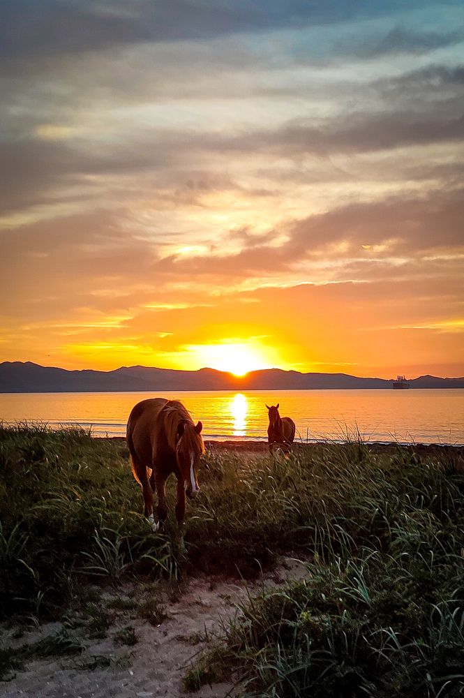 Photograph by Дмитрий Медянников