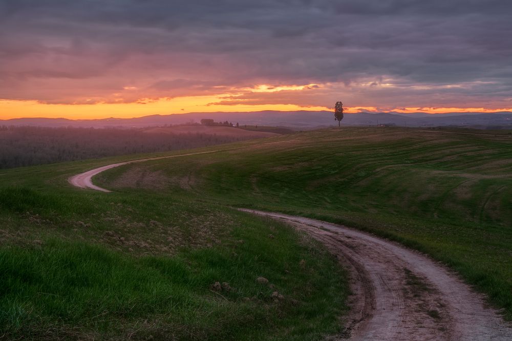 Фотография автора Adele Ferrari