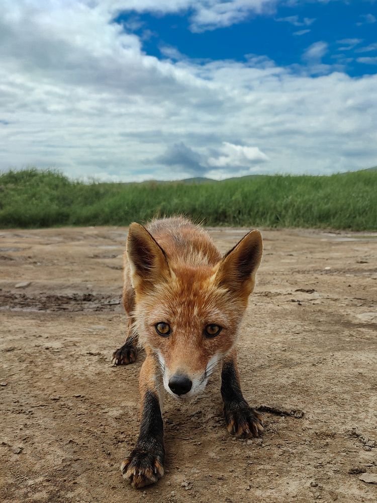 Photograph by Дмитрий Медянников