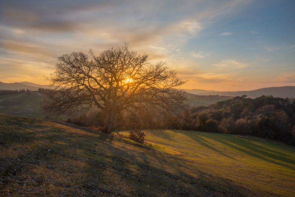 Фотография автора Adele Ferrari