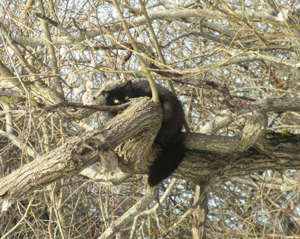 Photograph by Anna Baykova