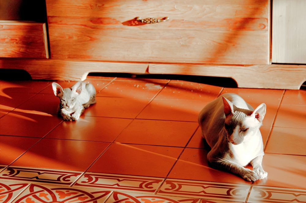 Photograph by Александр Подгорный