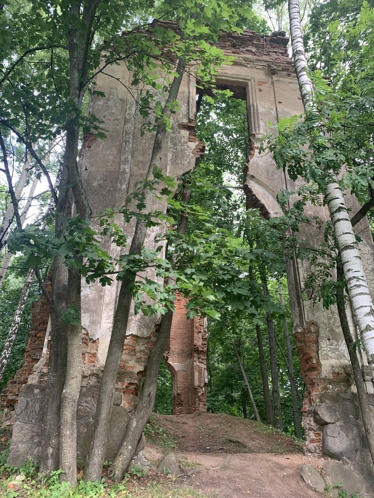 Фотография автора Ирина Шпаковская