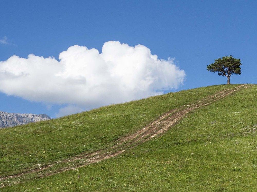 Photograph by Борис