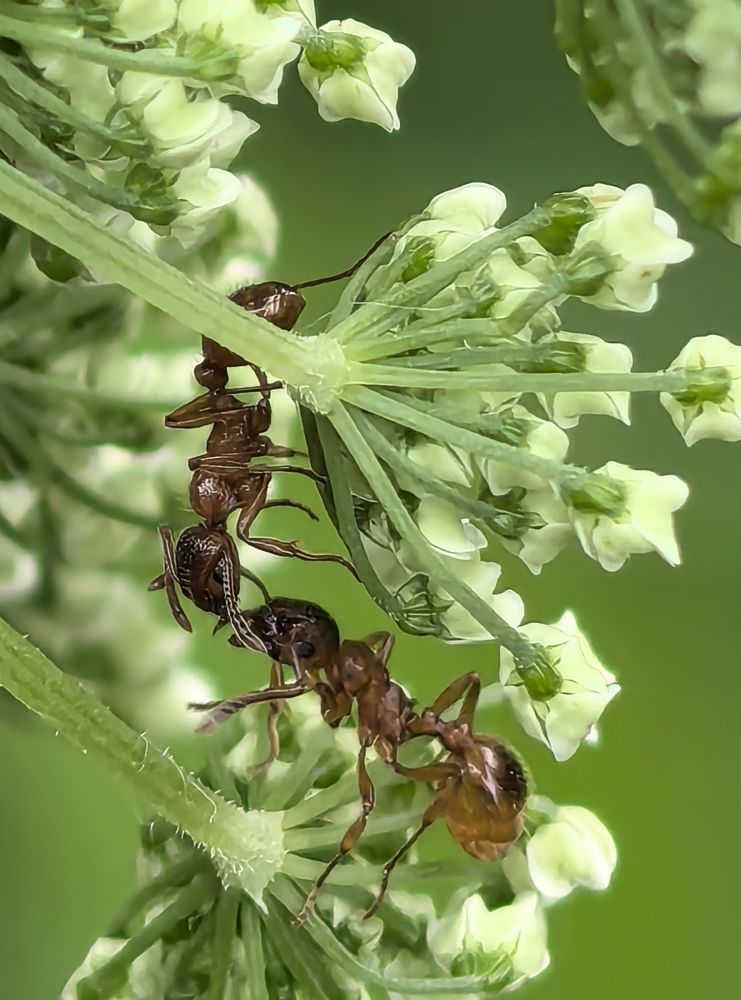 Photograph by Анна Епанчинцева