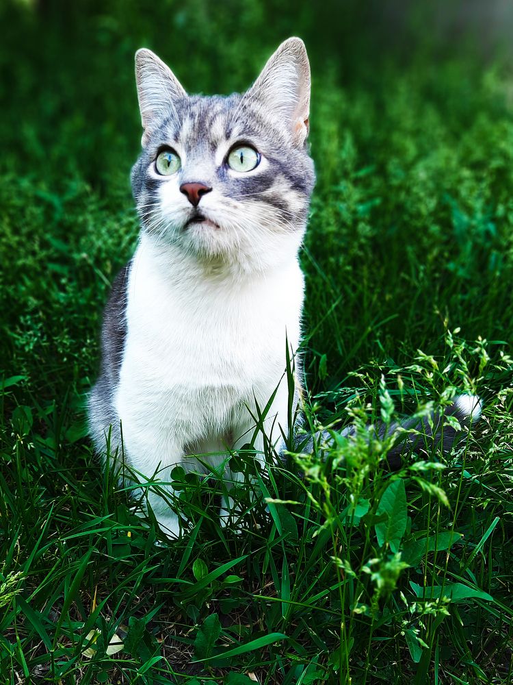 Photograph by Ekaterina
