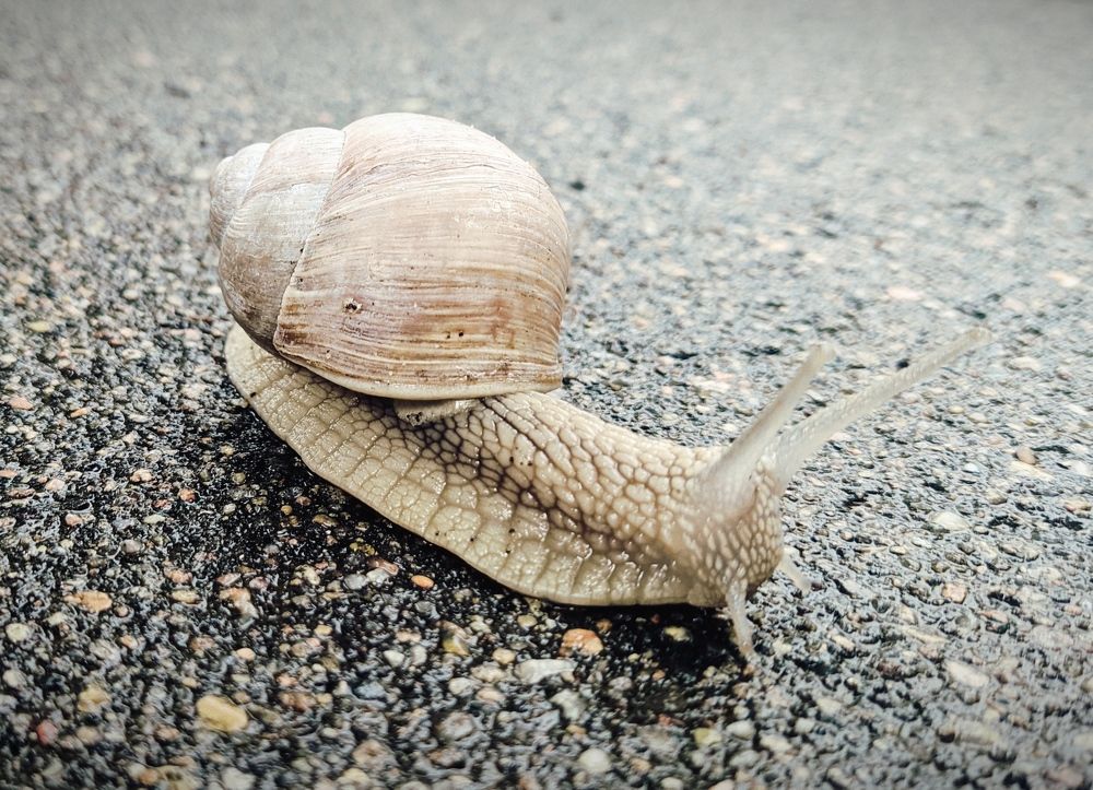 Фотография автора Андрей Москвичев