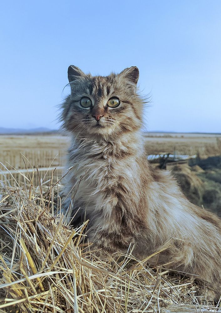Photograph by Сергей Коваленко