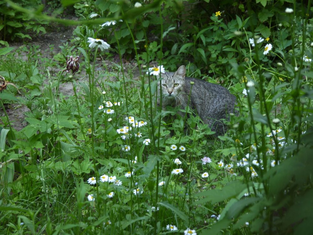 Фотография автора Клавдия Васильева