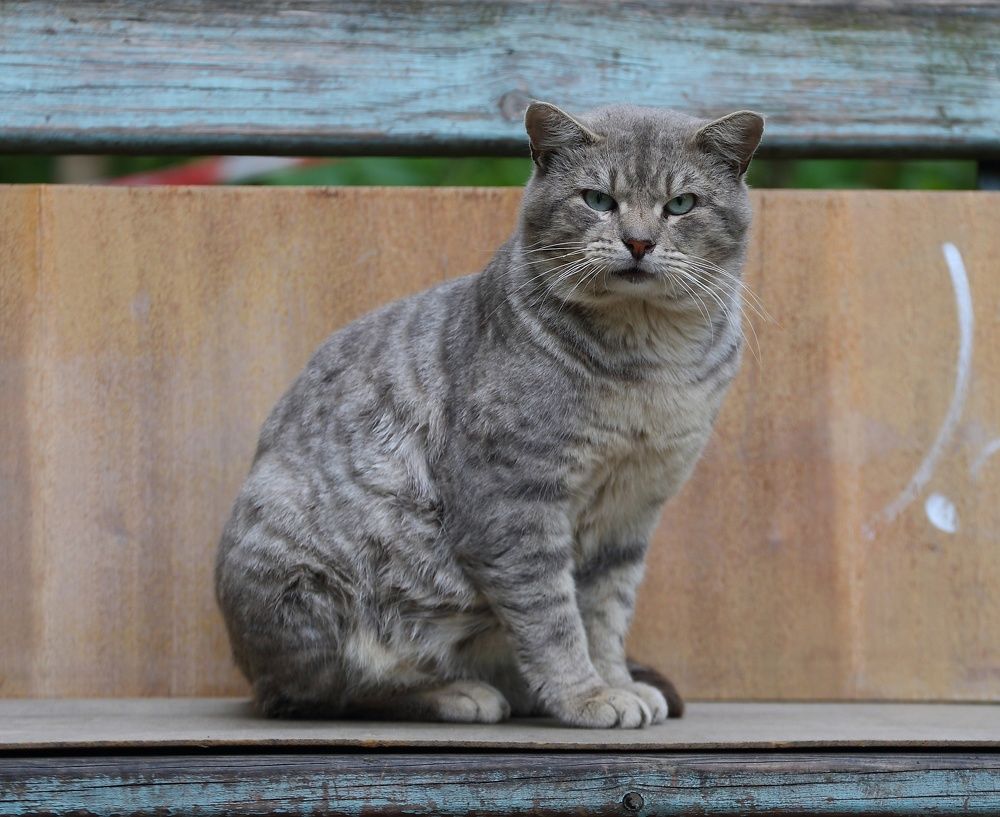 Photograph by Станислав Вершинин