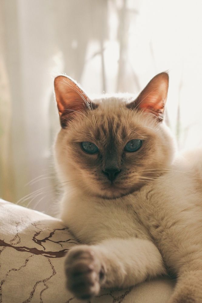 Photograph by Дарья Андреева