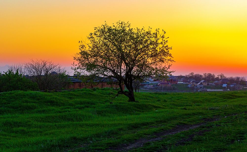 Photograph by Adam Yandiev