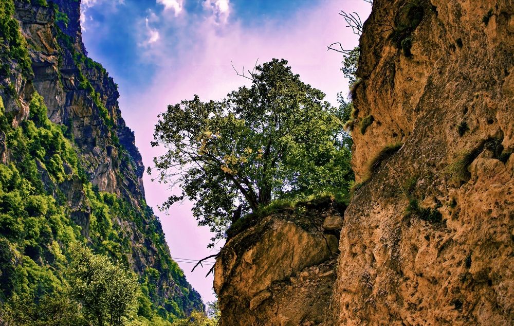 Photograph by Adam Yandiev