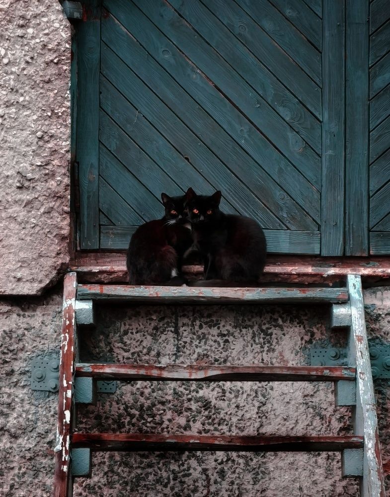 Фотография автора Геннадий Ломеко