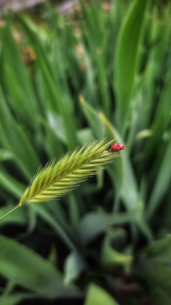 Photograph by Олеся