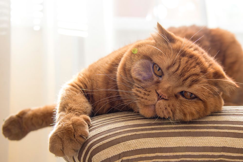 Photograph by Кадырова Марина