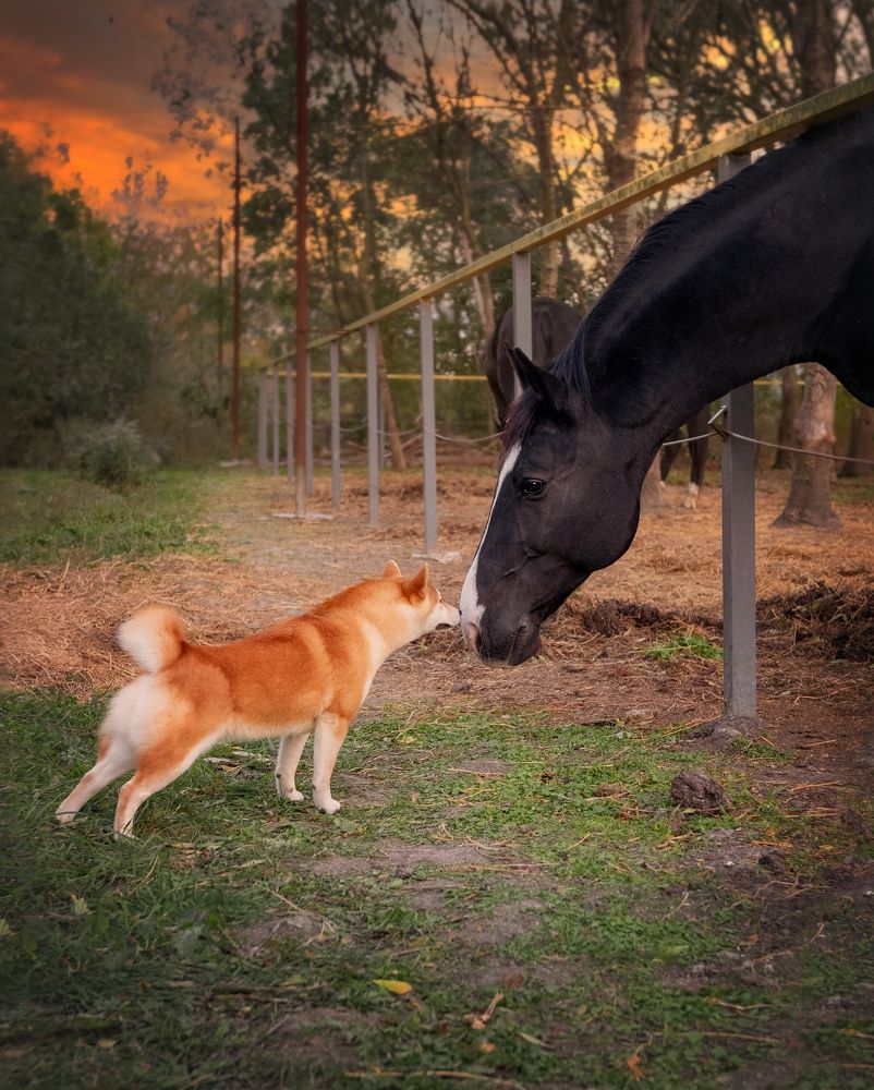 Photograph by Наталья Орел