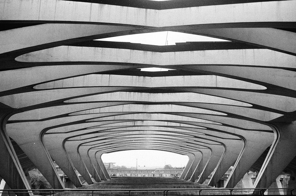 Photograph by Wajdi El zoghbi