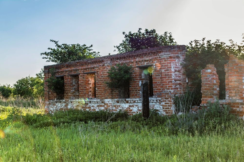 Photograph by Людмила Прибылова