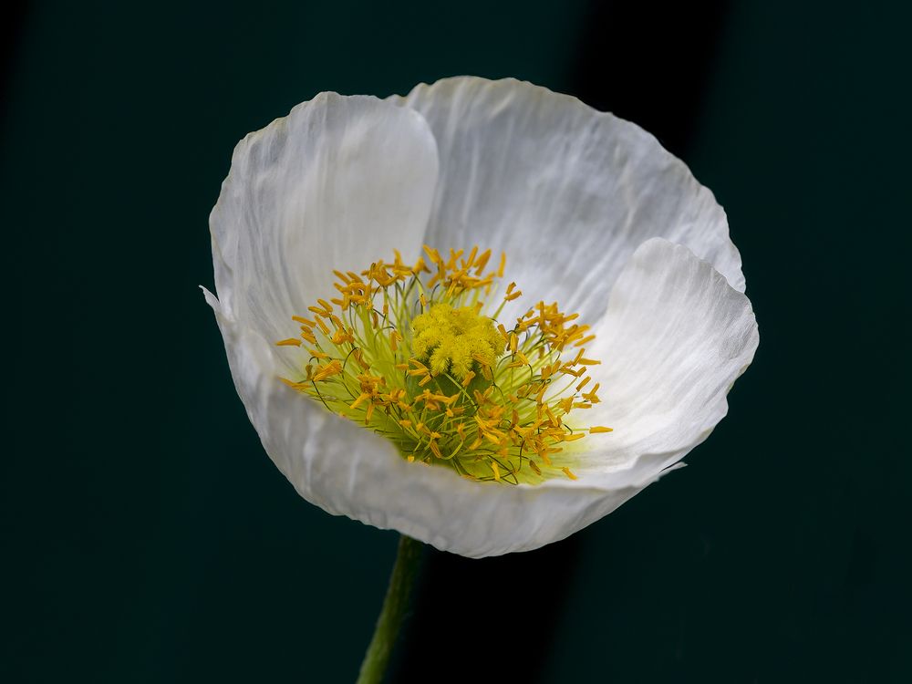 Photograph by Олег Тетерин