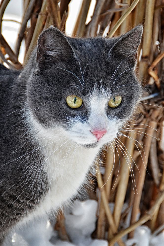 Photograph by Валерий