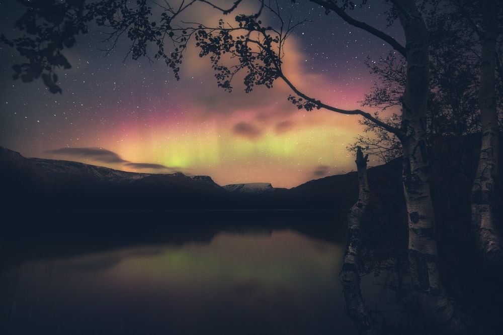 Photograph by Алексей Соколенко