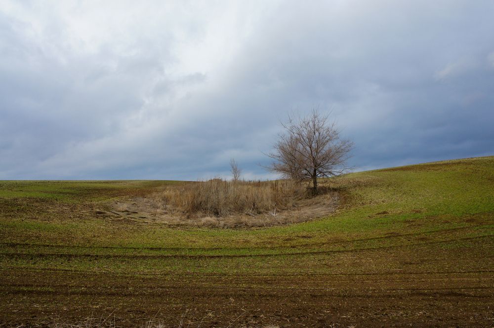 Photograph by Олег Алексеев