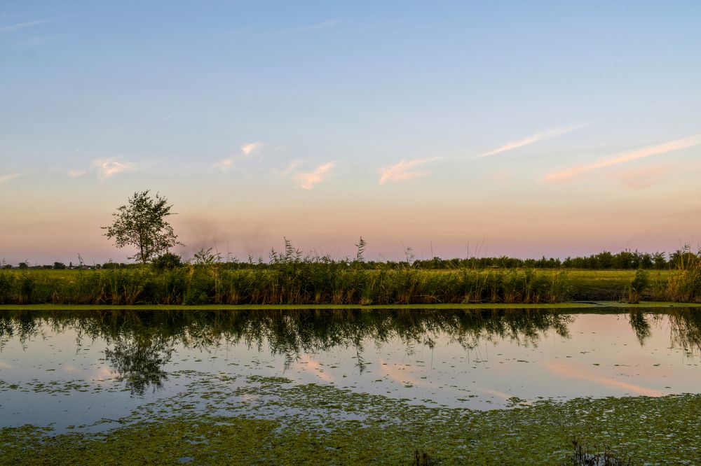 Photograph by Олег Алексеев