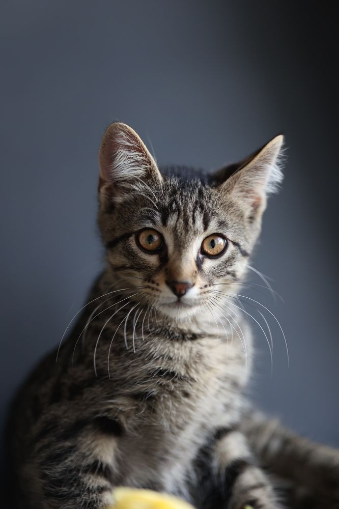 Photograph by Екатерина Свириденко