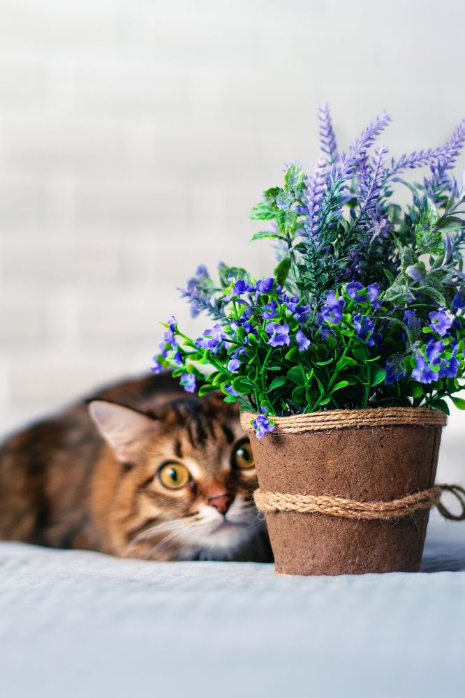 Photograph by Мария Сафронова