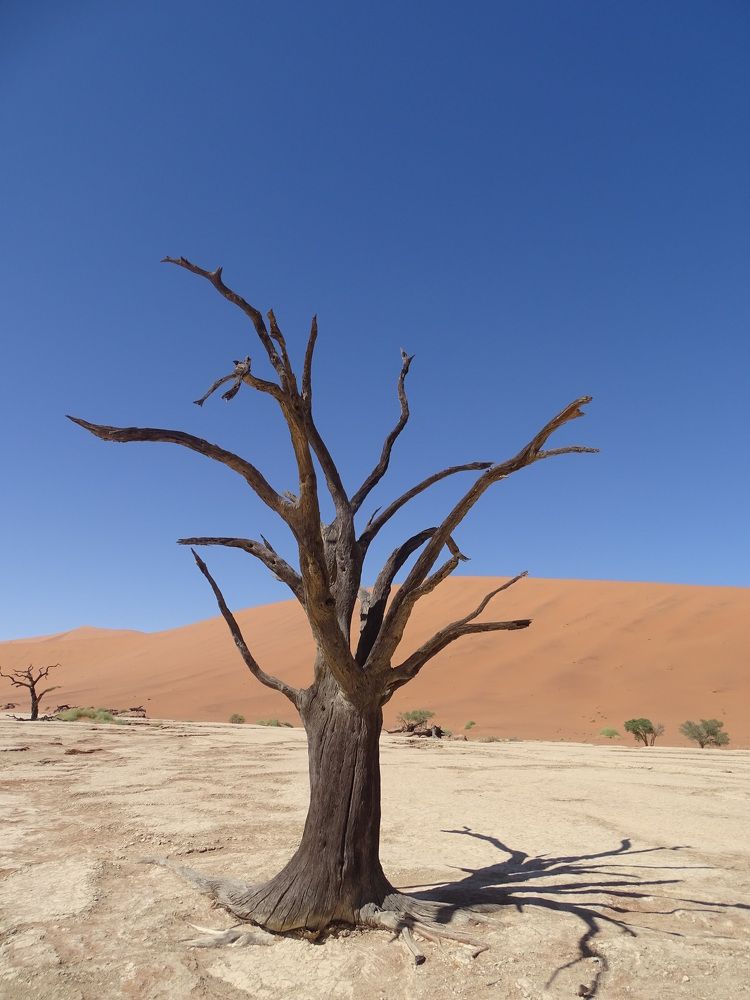 Photograph by MAKSIM MARKOV