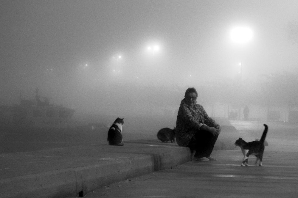 Photograph by fuat cimok