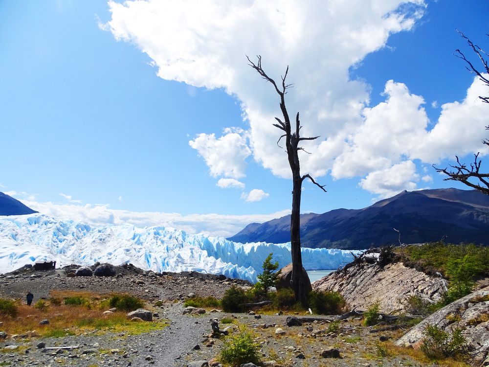 Photograph by MAKSIM MARKOV