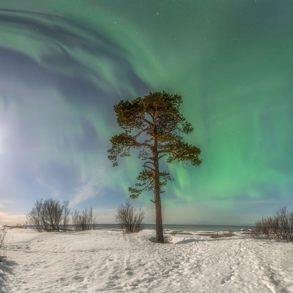 Photograph by Михаил Карпов