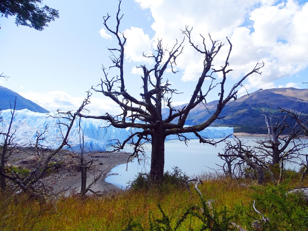 Photograph by ELVIRA LUNEVA