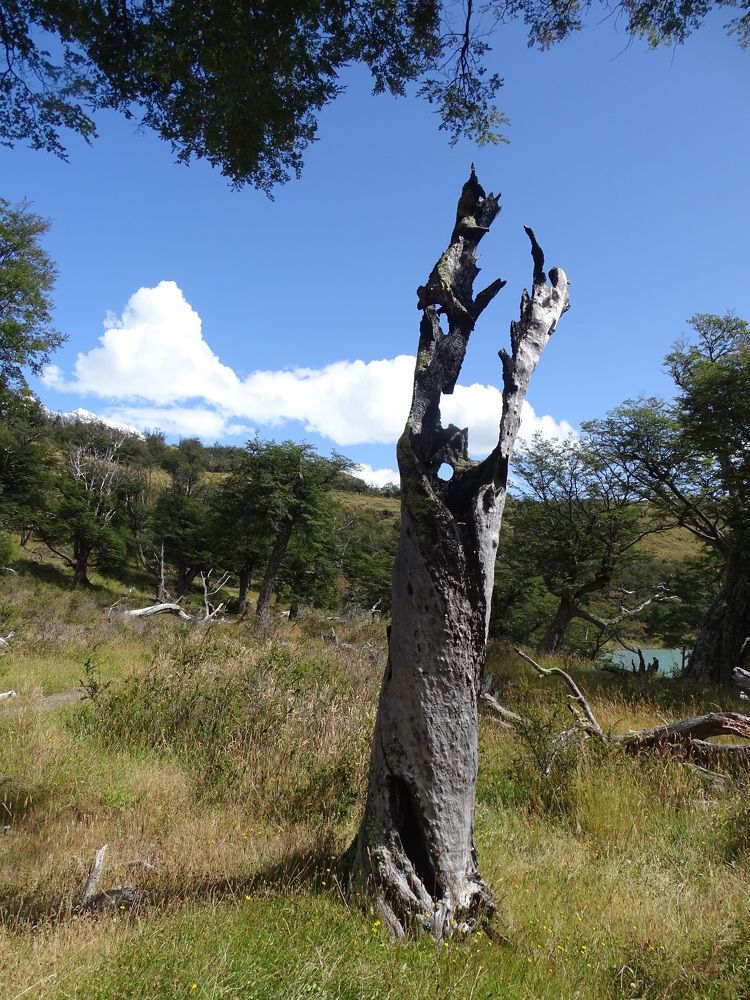 Photograph by ELVIRA LUNEVA