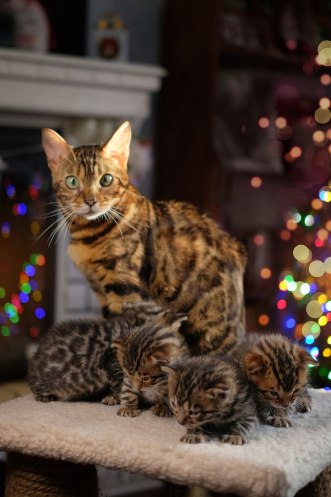 Photograph by Екатерина Морозова