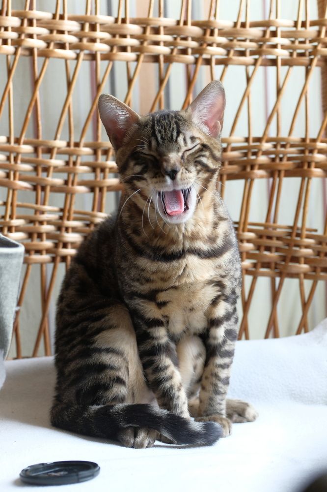 Photograph by Екатерина Морозова