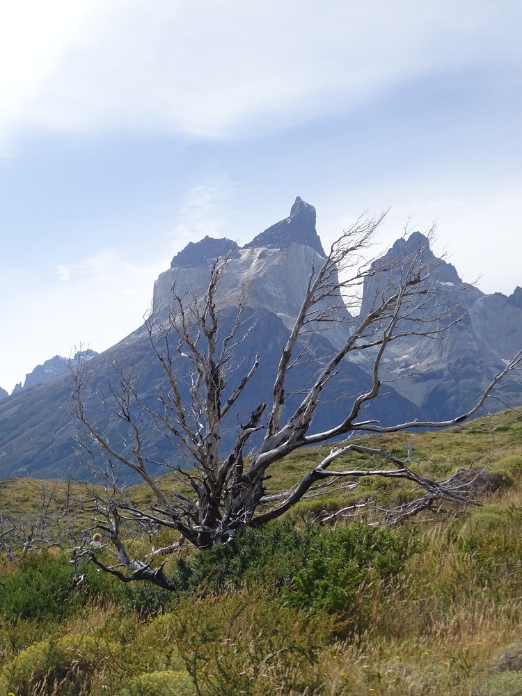 Photograph by ELVIRA LUNEVA