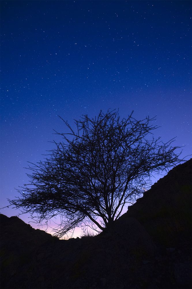 Photograph by Mahlagha Zarabian