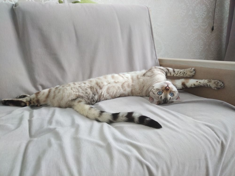 Photograph by Анастасия