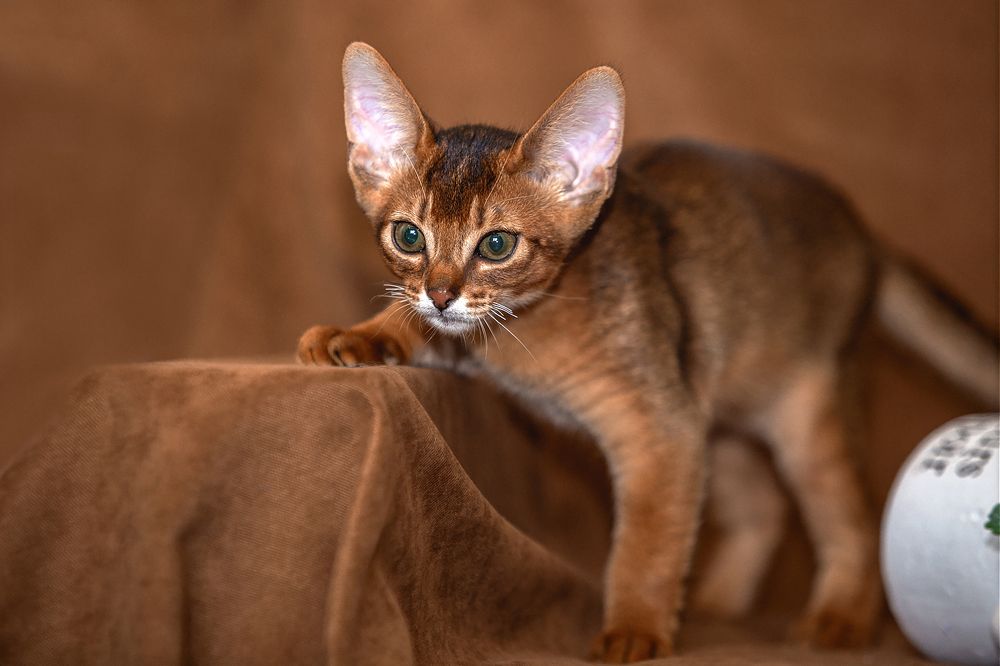 Photograph by СВЕТЛАНА ГРАЧЕВА