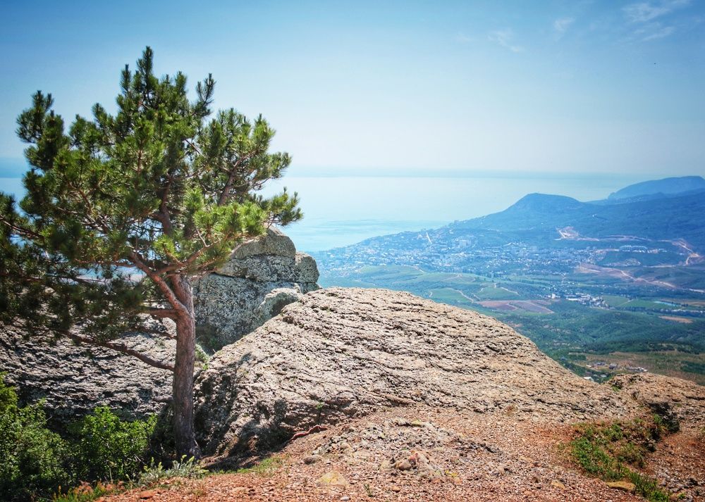 Photograph by Любомир