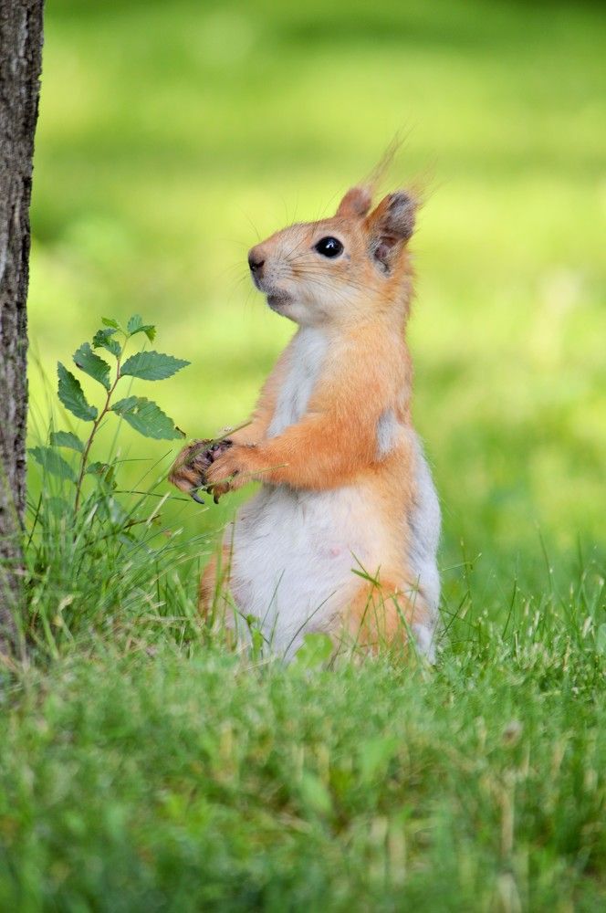 Photograph by Наталия Захарова