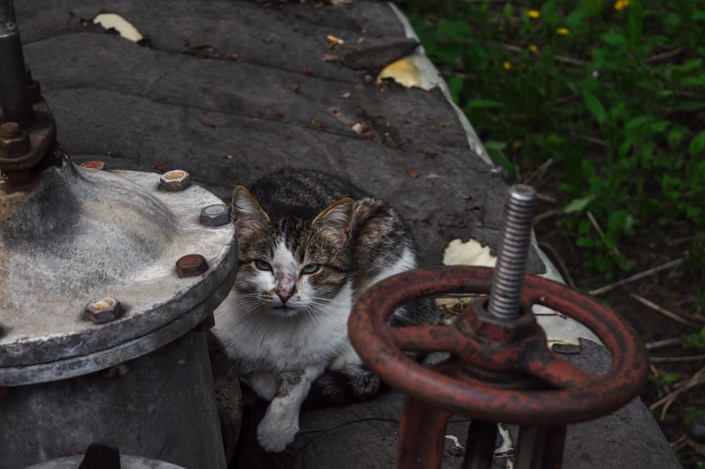 Photograph by Владислав Циклинский