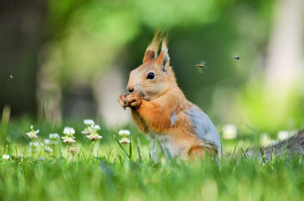 Photograph by Наталия Захарова