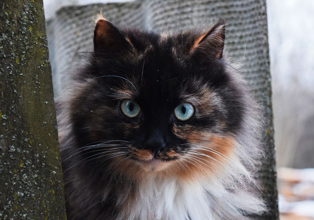 Photograph by Владислав Циклинский