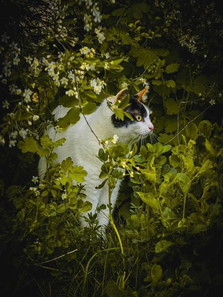 Photograph by Konstantin Martynov