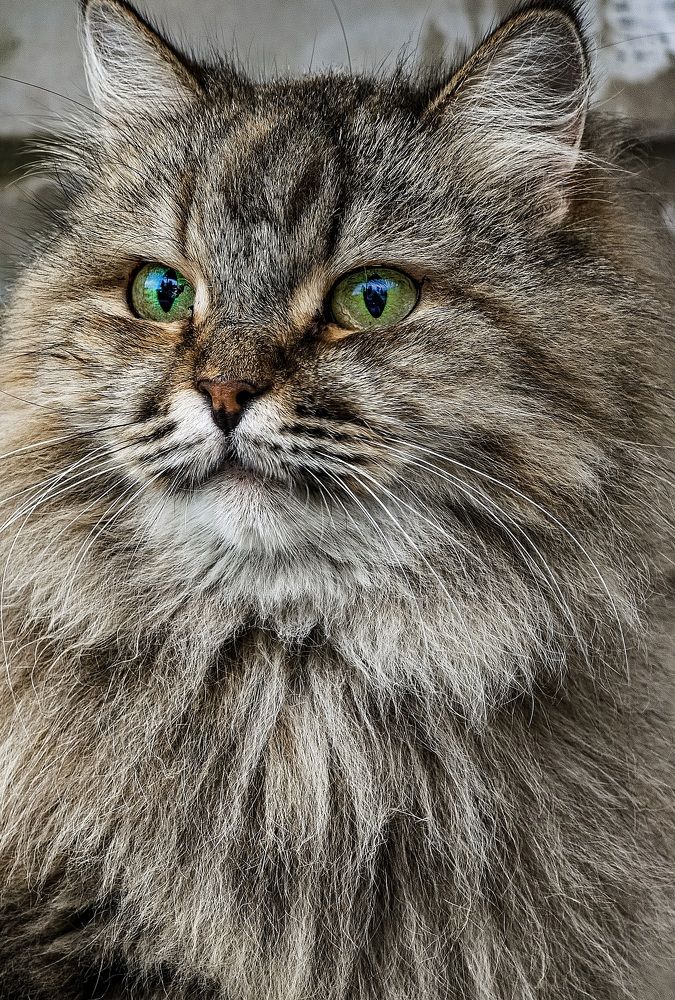 Photograph by Konstantin Martynov