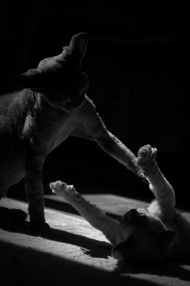 Photograph by Татьяна Федченко